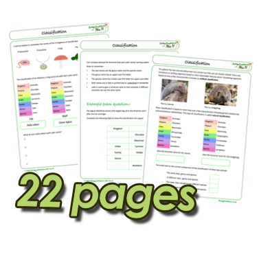 classification_pages.png